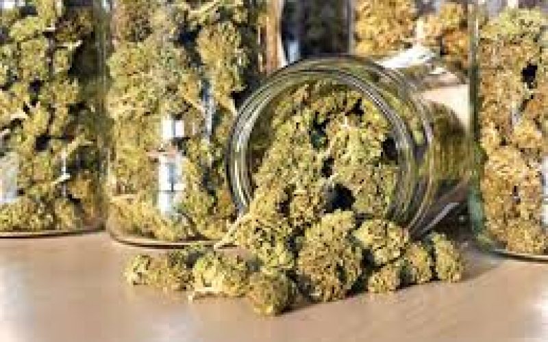 Get Marijuana Delivered To Your Home Fast With same day weed delivery ottawa