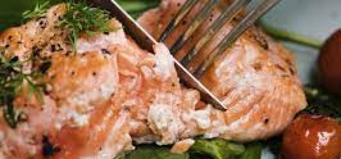 Salmon Baby Food That Is High In Protein And Low In Fat