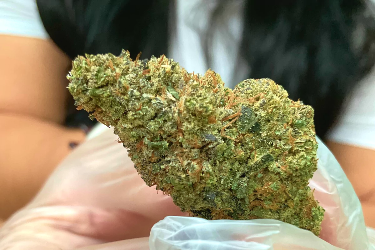 Why delta 8 flower is ideal for low-tolerance users?